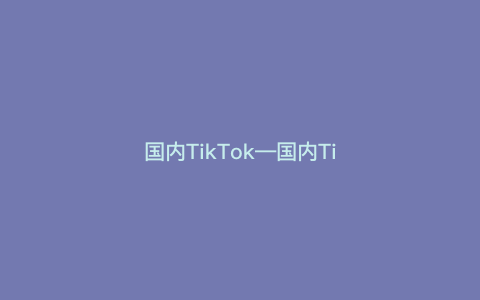 国内TikTok—国内TikTok必填）
